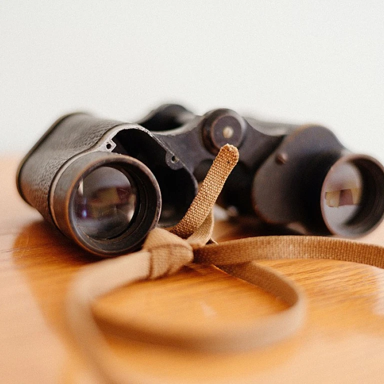 How to Profit from Website Flipping: A Guide to Buying and Selling Domains with Content