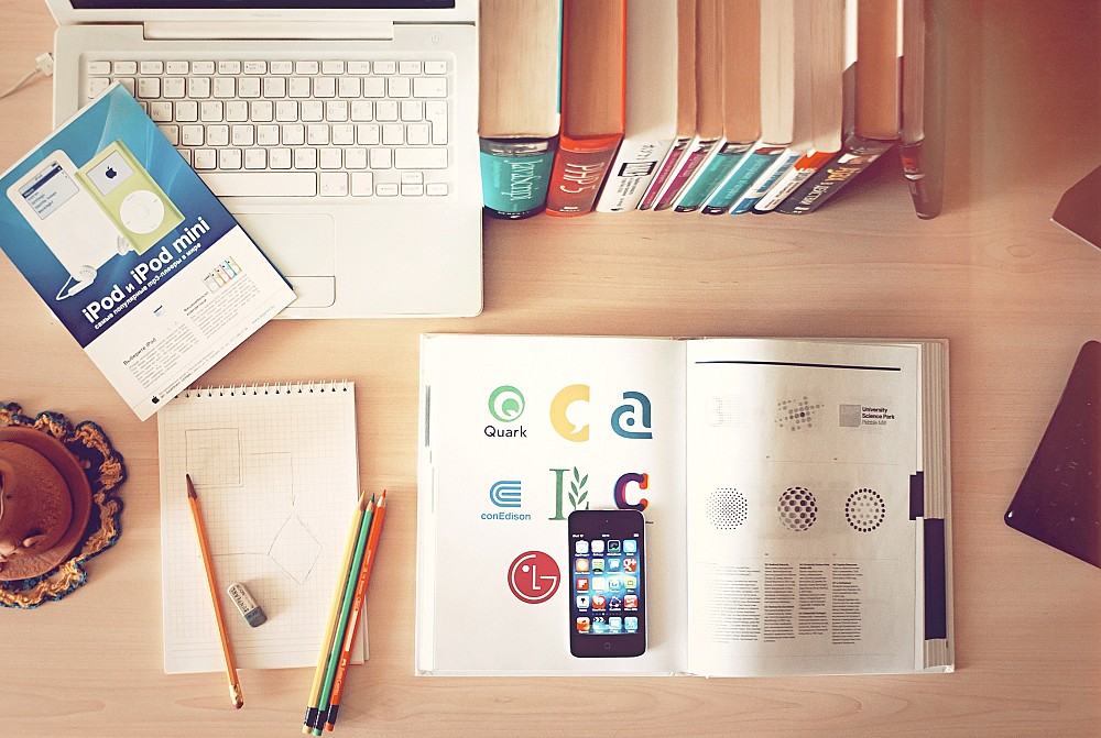 How a managing member shapes profitable website flipping decisions